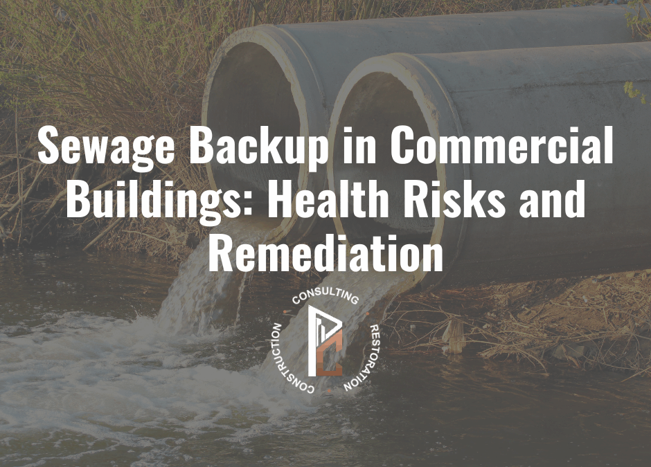 Sewage Backup in Commercial Buildings: Health Risks and Remediation
